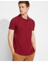 POLO MANCHES COURTES HOMME